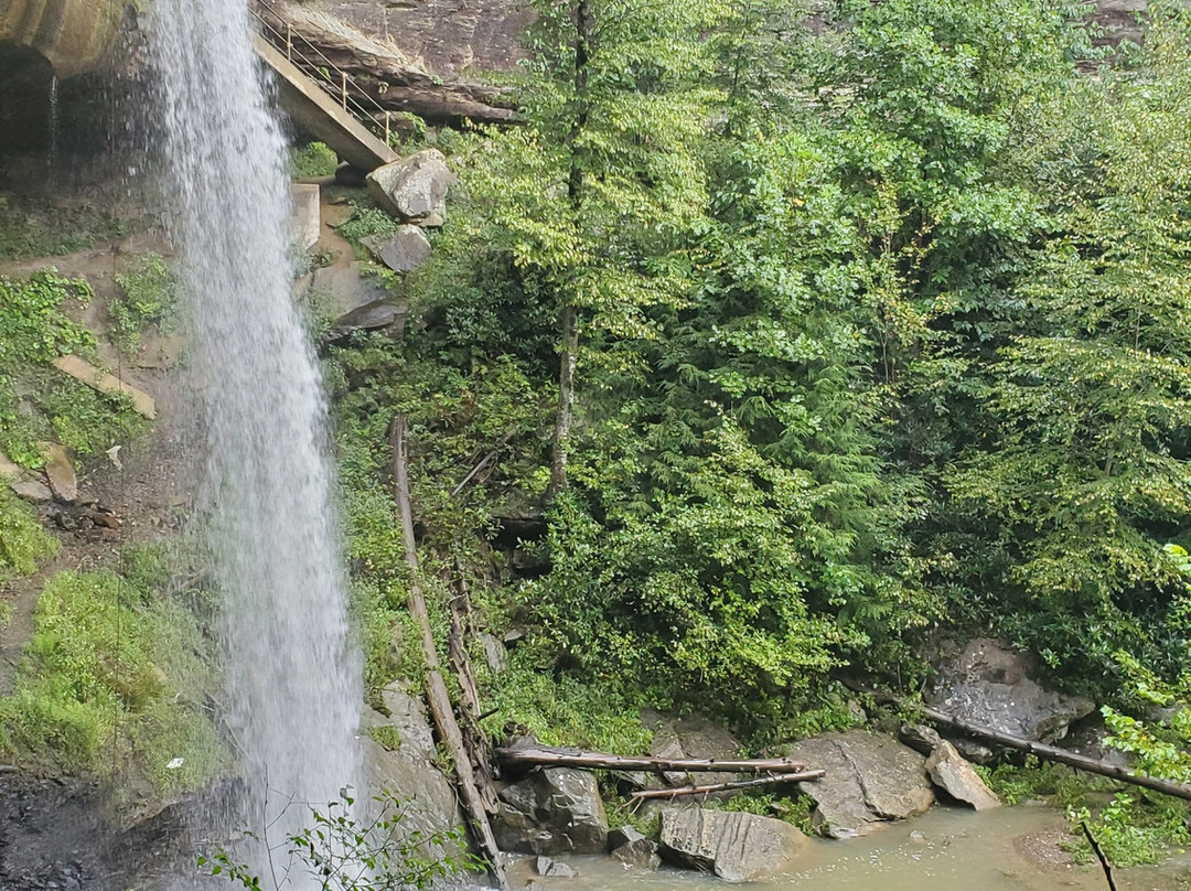 Broke Leg Falls-Wellington必去景点