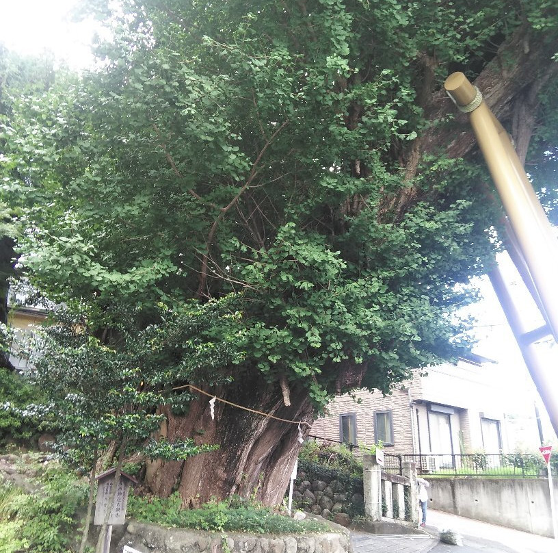 Gojyo Shrine-汤河原町必去景点