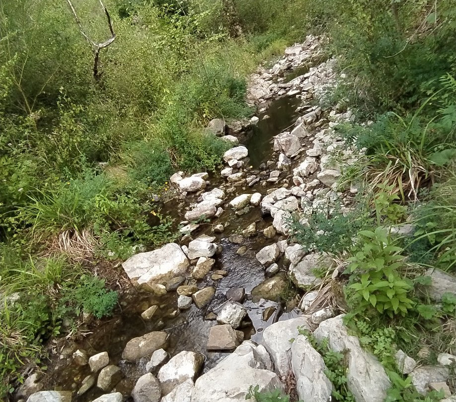 Parco Regionale Marturanum景点图片