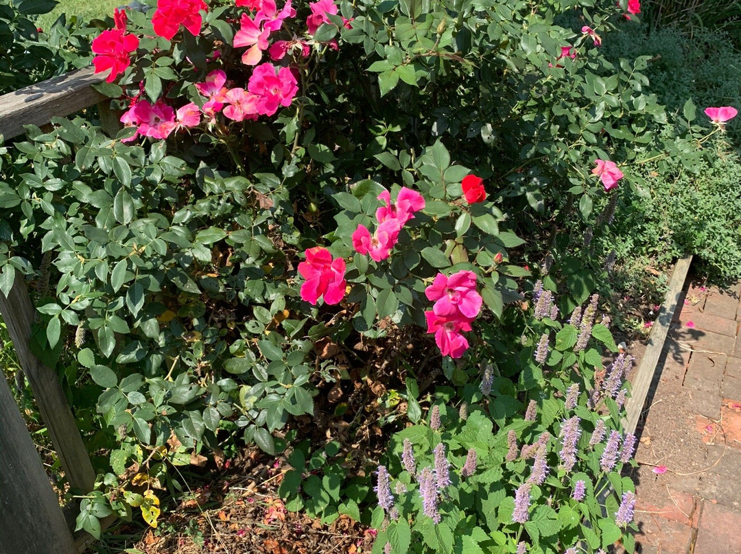 Butler Winery-布卢明顿必去景点