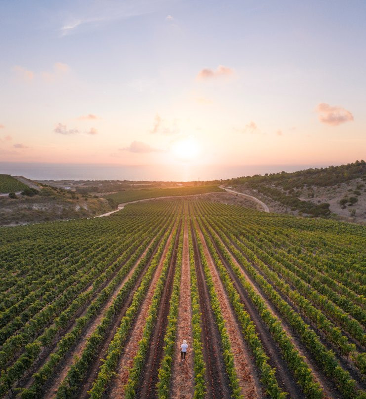 Tenuta Asinara Bistrot & Degustazione-Sorso必去景点