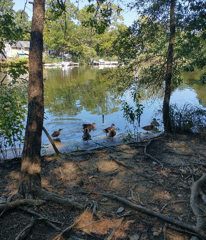 Ellen O. Moyer Nature Park at Back Creek-安纳波利斯必去景点