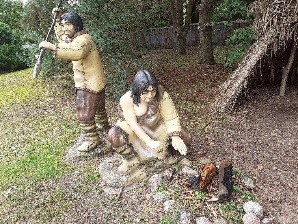 Jurajski Park Dinozaurów Muzeum Dziejów Ziemi景点图片