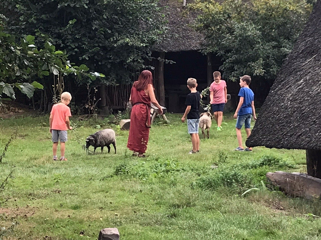 IJzertijdboerderij-Dongen必去景点