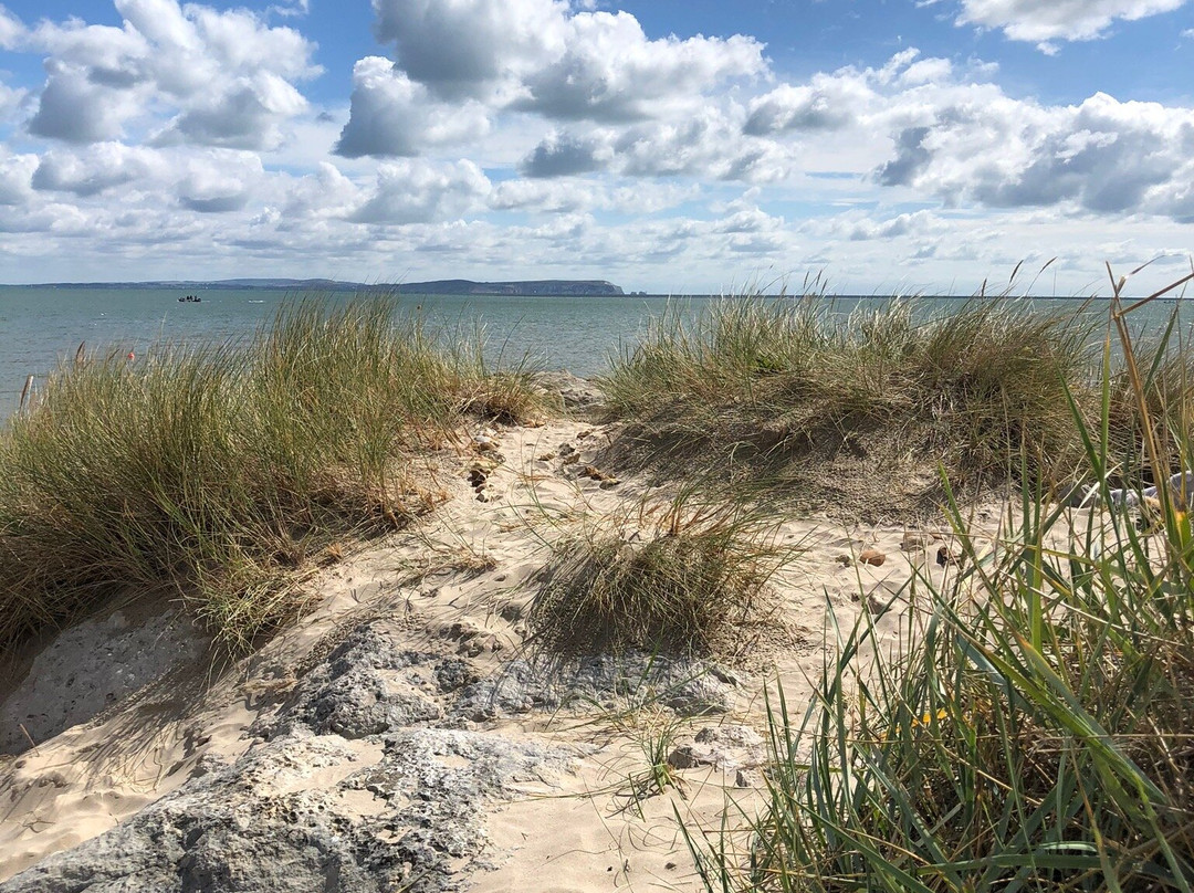 Mudeford Quay景点图片