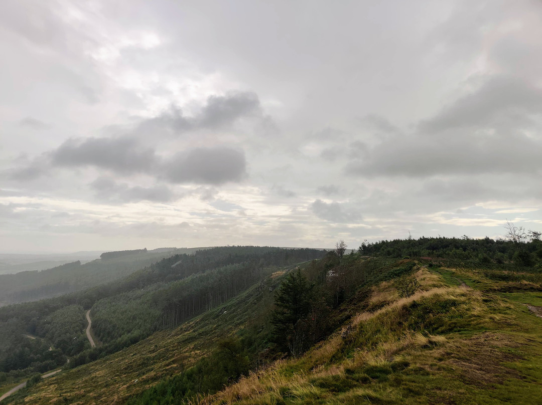 Highcliff Nab-Guisborough必去景点