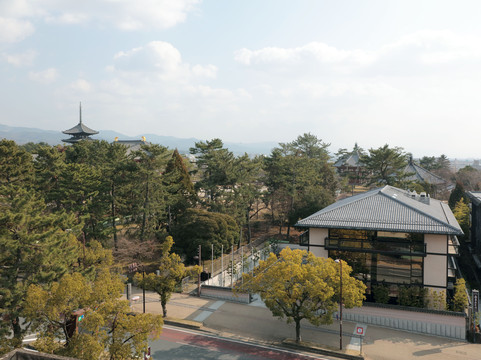 奈良登大路酒店主图