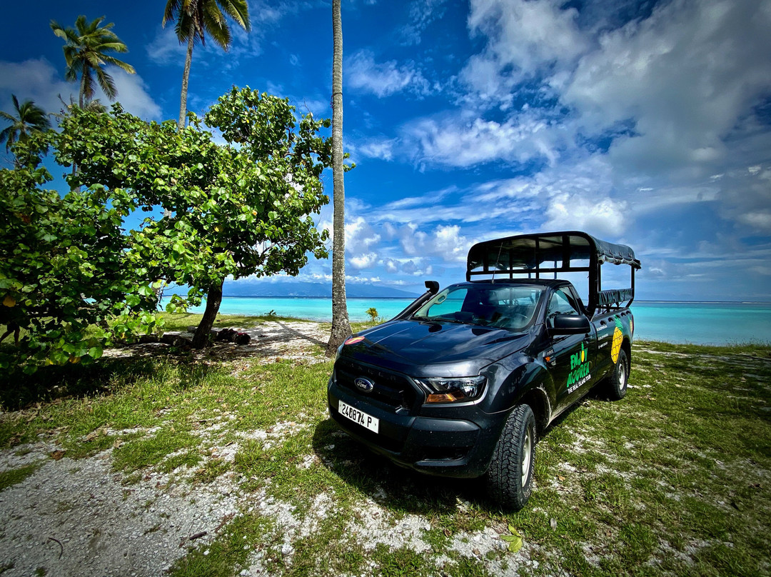 Enjoy Moorea-莫雷阿岛必去景点