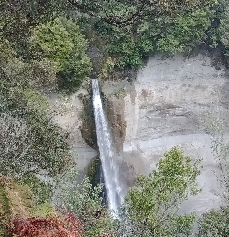 Mount Damper Falls Walk景点图片
