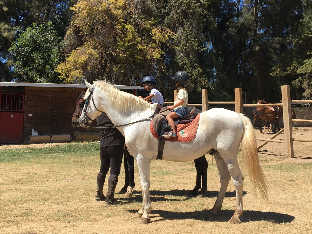 Tavira Equestrian Tourism-塔维拉必去景点