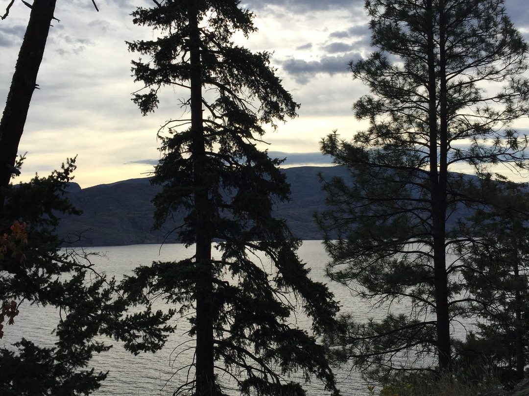 Pineacre On The Lake主图