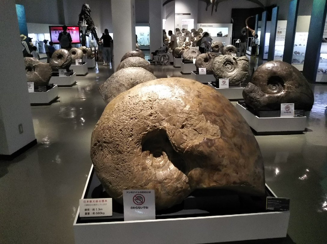 Mikasa City Museum-三笠市必去景点