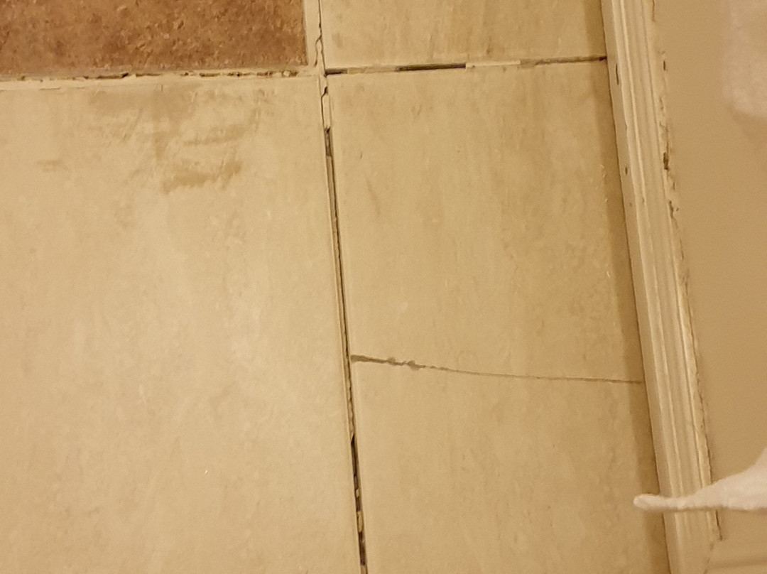 The Brentwood Hotel主图