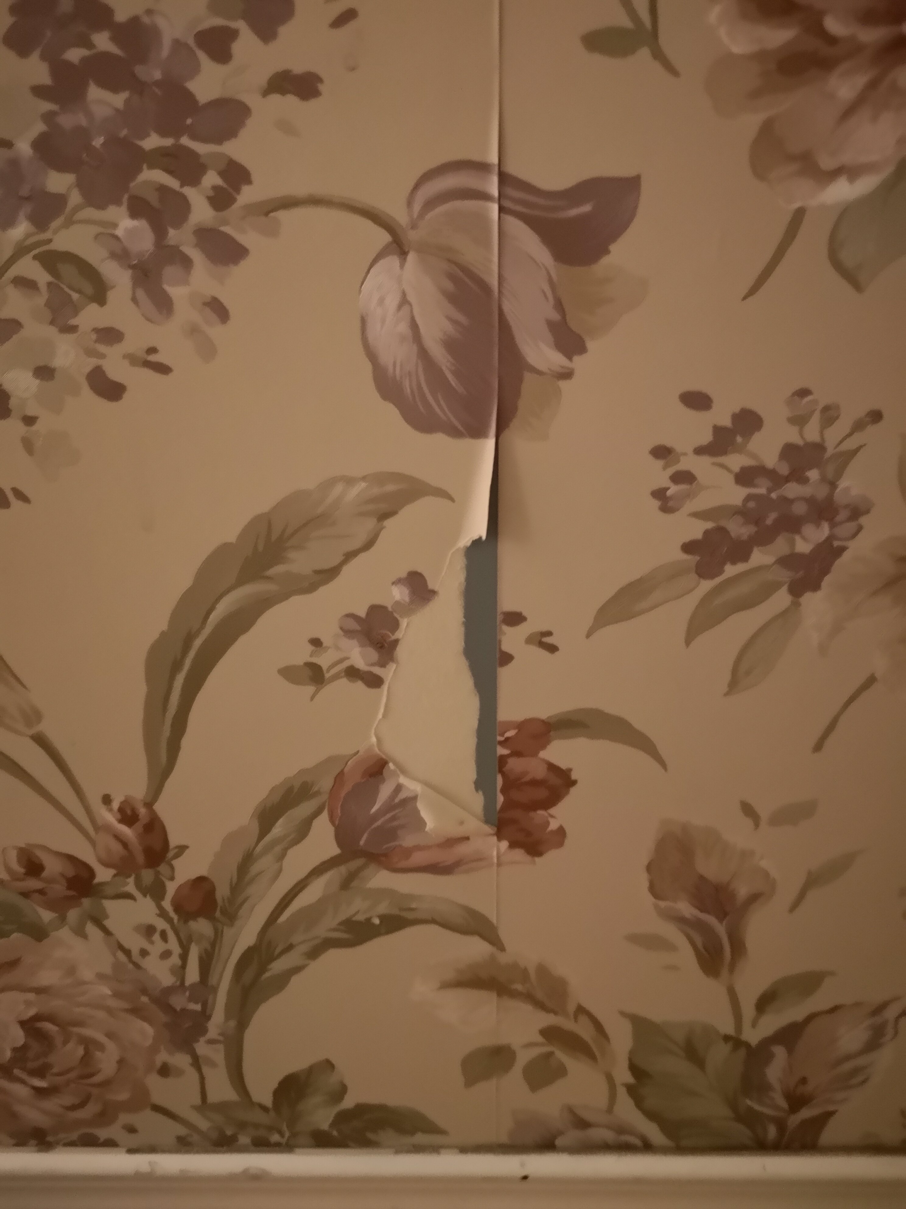 Auberge Le Flores-官方