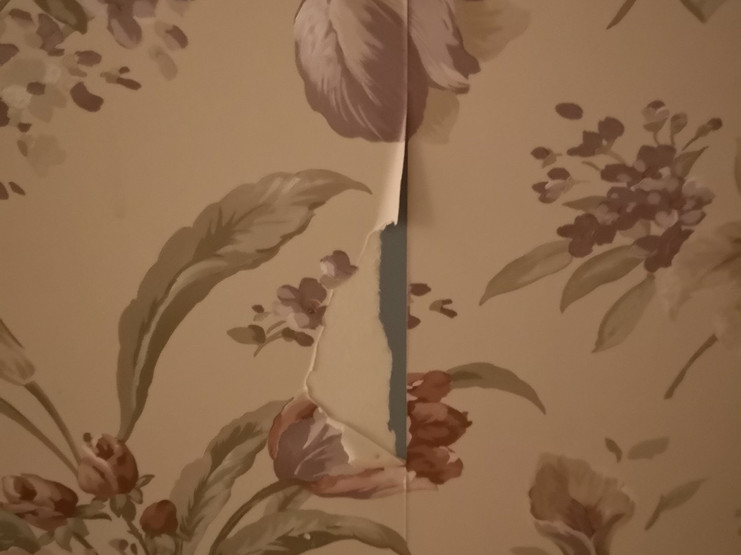 Auberge Le Flores主图