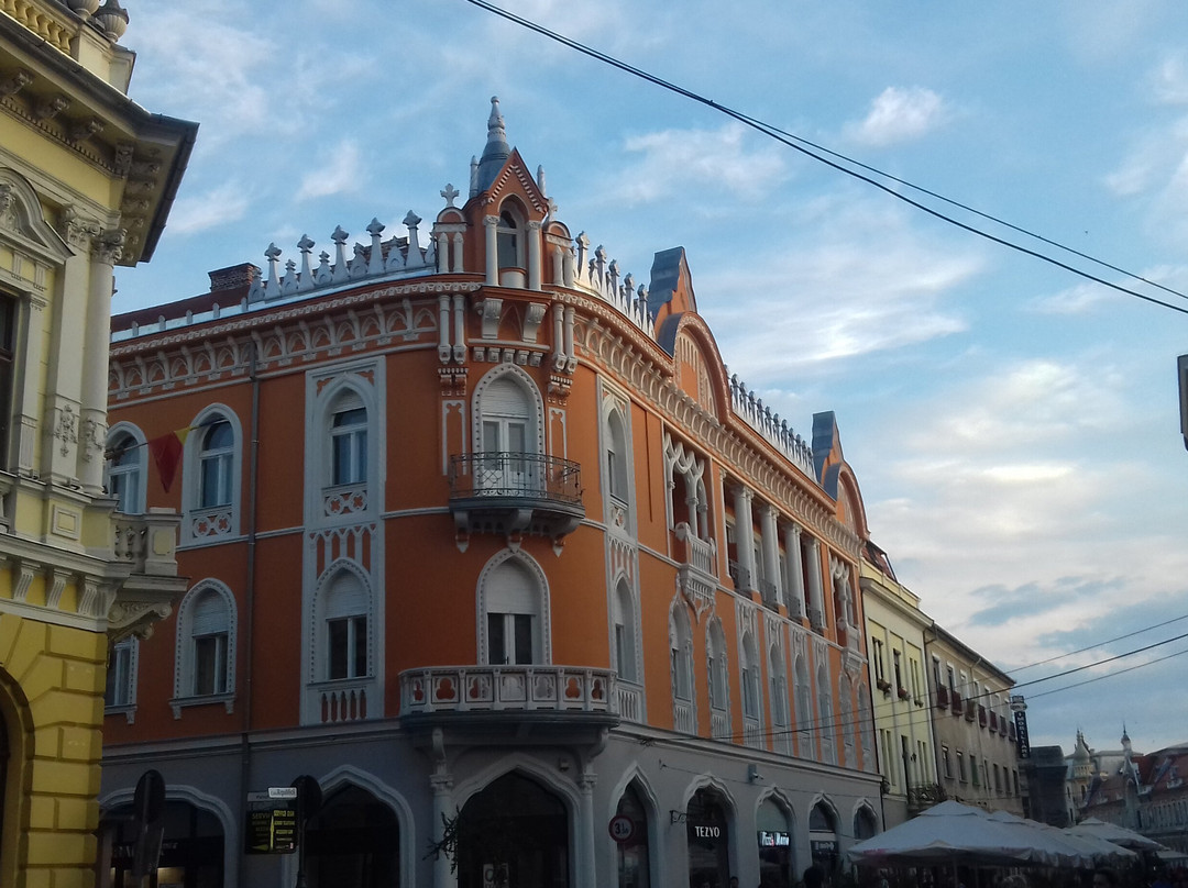 Rimanoczy Kalman Senior Palace-拉迪亚必去景点