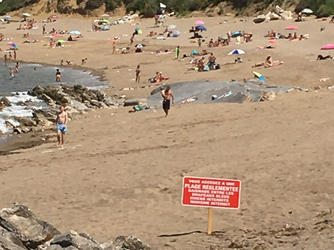 Plage de Lafitenia景点图片