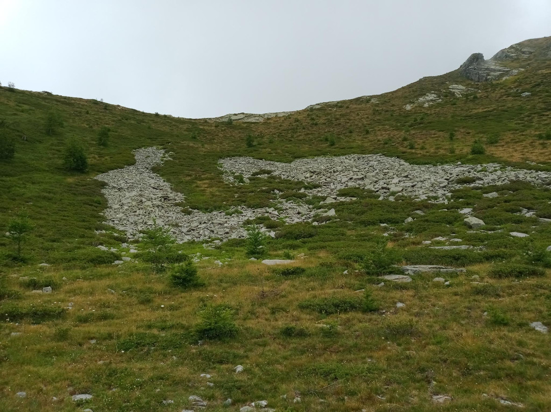 Funivia Piana di Vigezzo景点图片