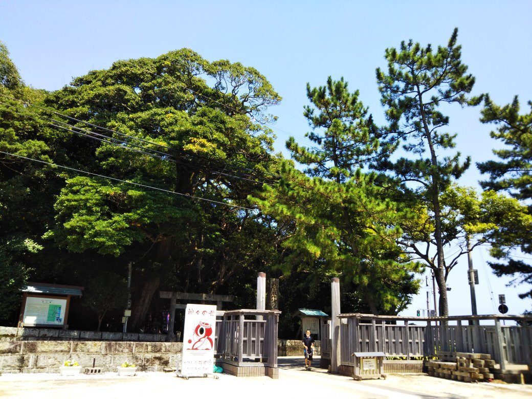 Michi-no-Eki Kumano Hananoiwaya-熊野市必去景点