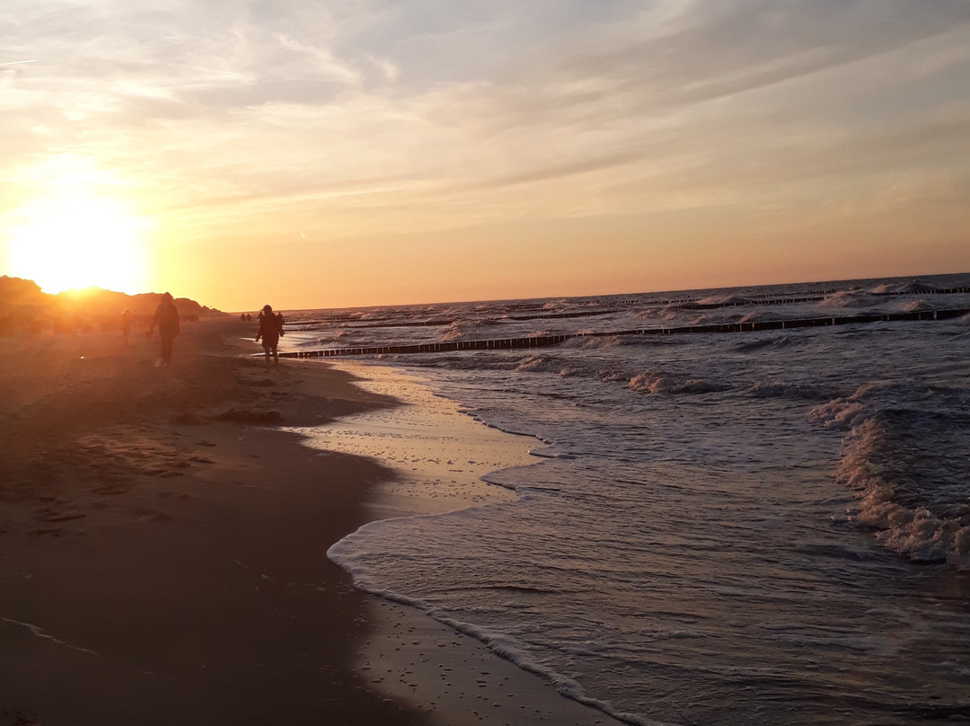 Hotel & Bungalows Waldschloss Parow主图