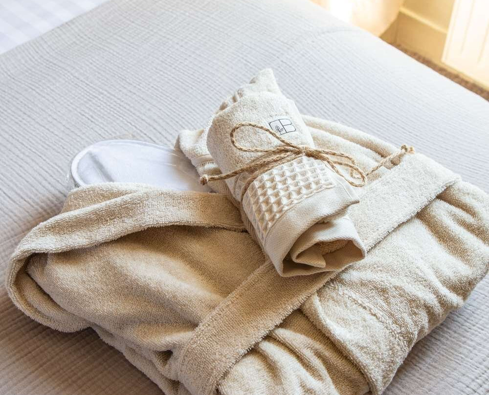 Hotel Le Maxime, BW Signature Collection主图