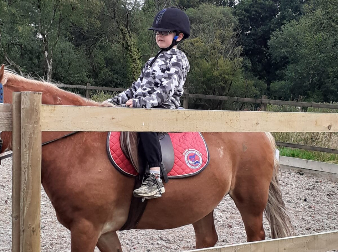 Garlands Farm Trekking and Horse Riding Centre-Highampton必去景点