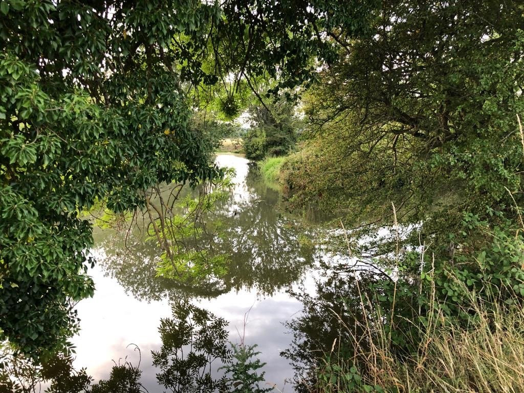 Boathouse Farm Camping