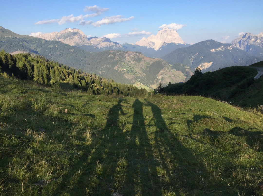 Wild in the Dolomiti景点图片