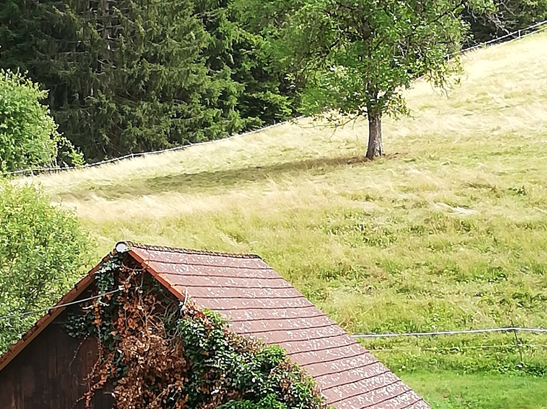 Jagerhof Kropfmuhle