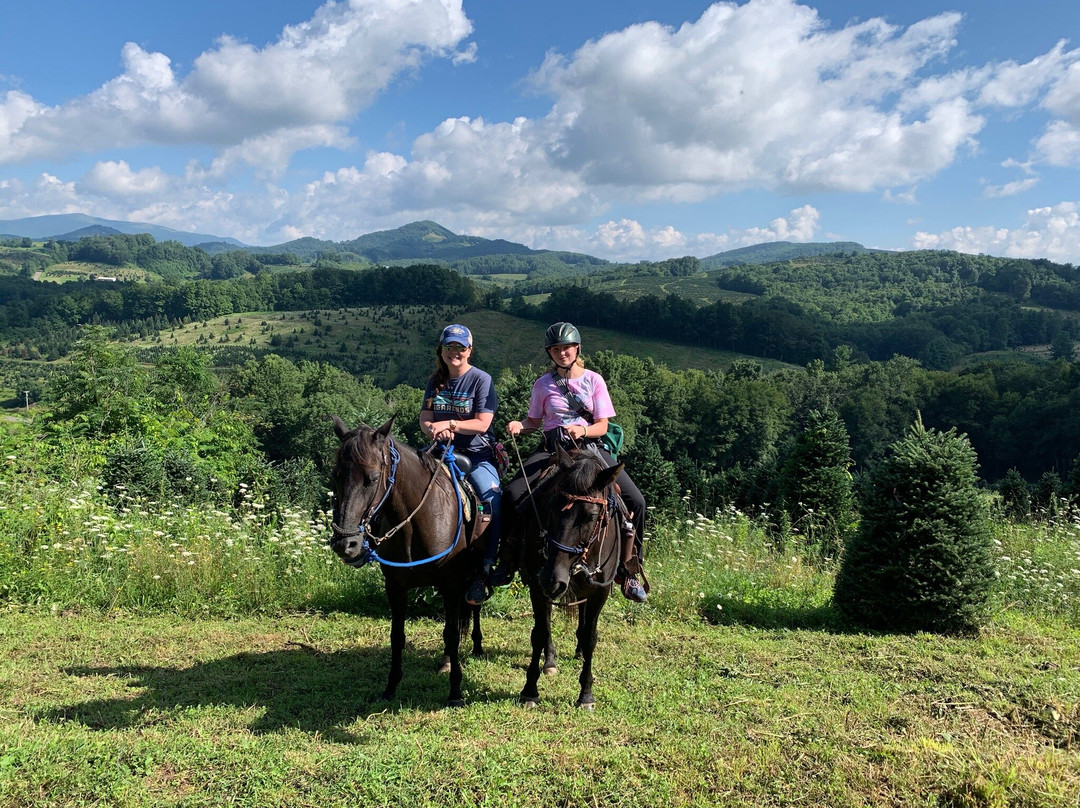 Elk Mountain Riding Company-Newland必去景点