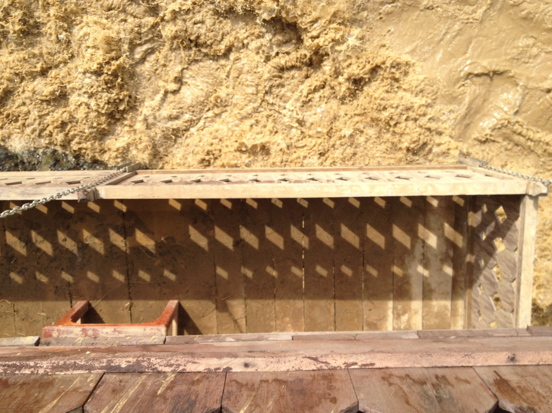 Fidodido Guesthouse主图