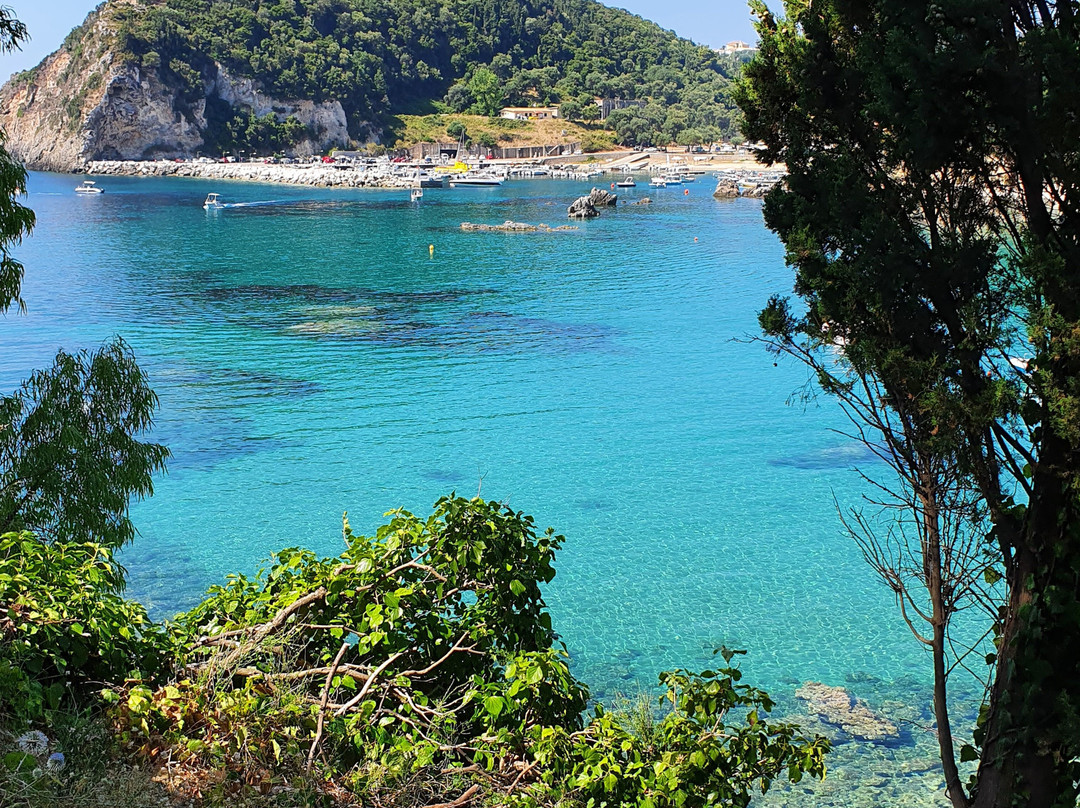 Mermaid Studios and Pool Bar主图