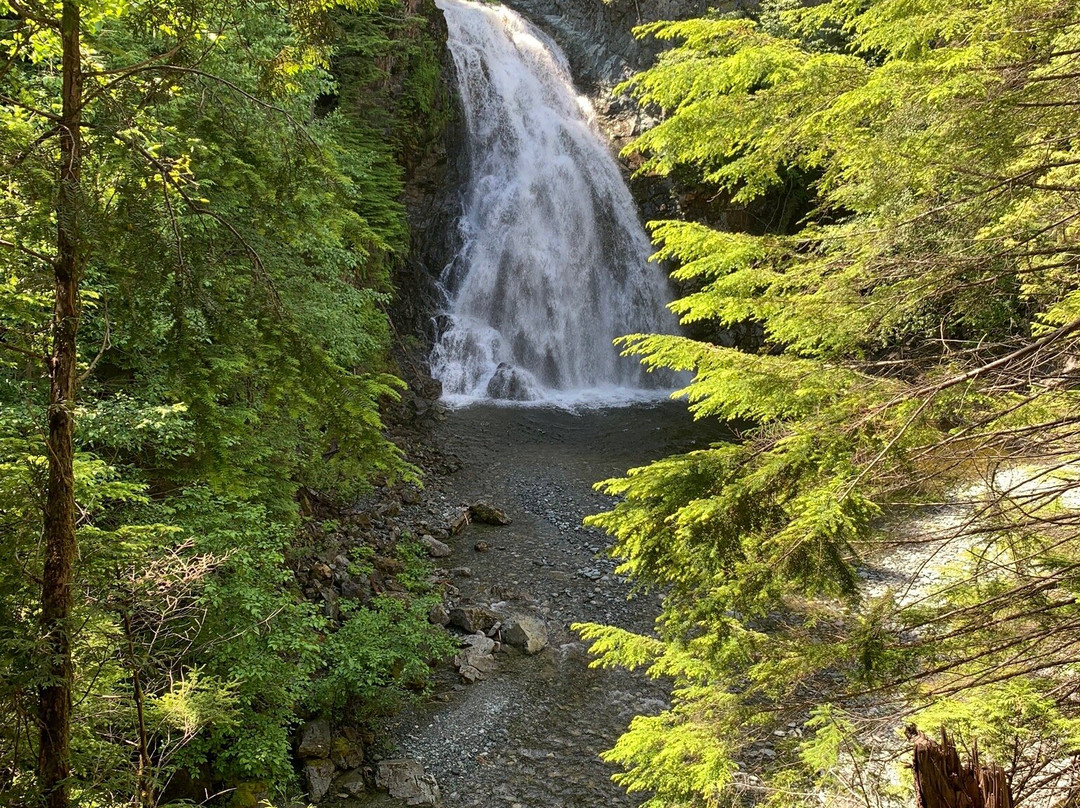 Moore Creek Falls景点图片