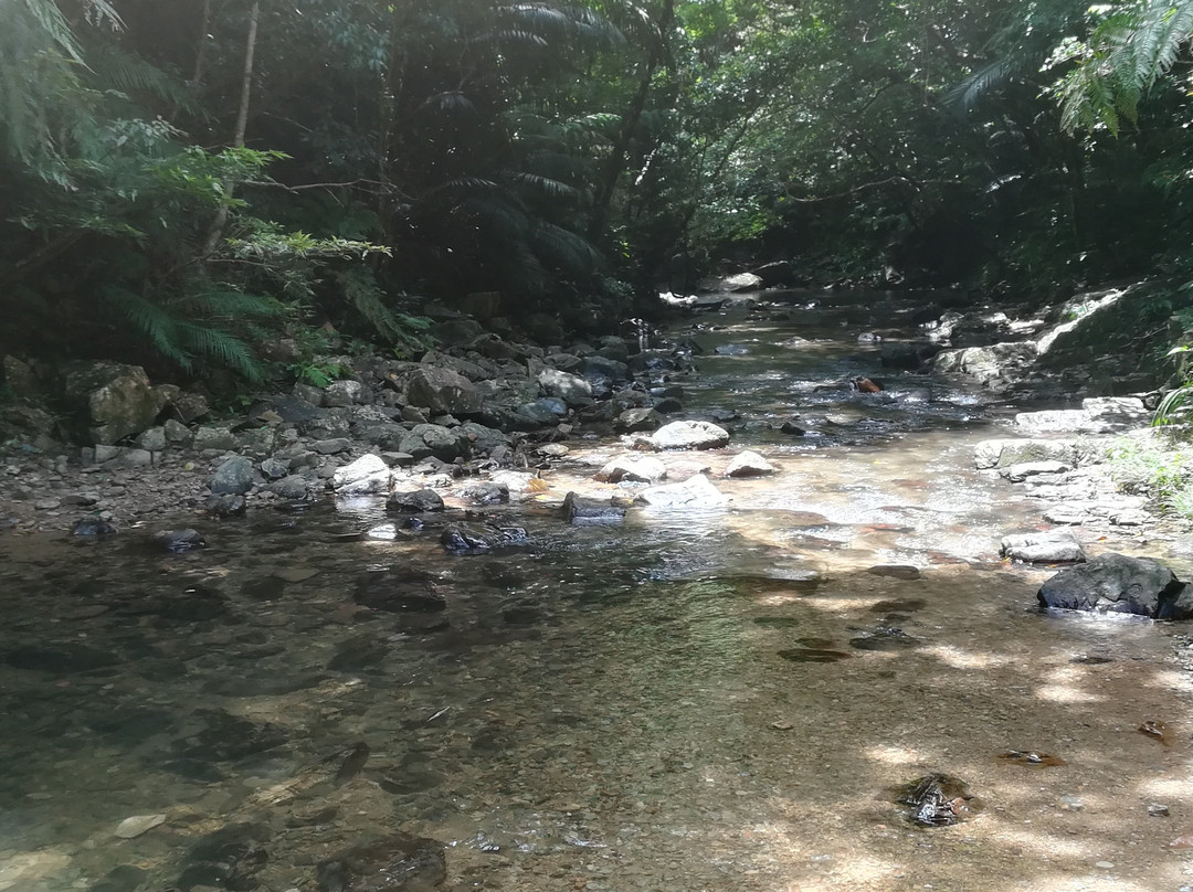 Ta Waterfall景点图片