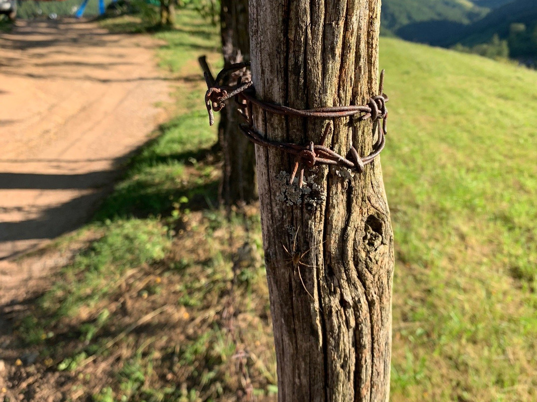 ZipLine Zlatibor-Ljubis必去景点