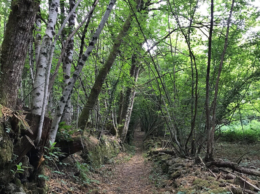 Univert Trail景点图片