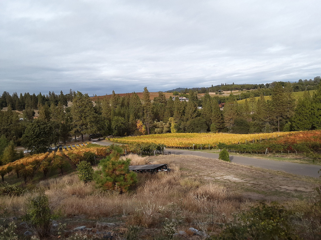 Toogood Estate Winery景点图片