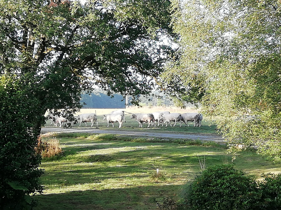 La Ferme de Guerlann主图