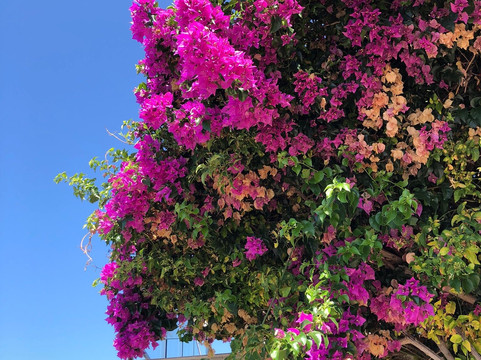 卡查特酒店主图