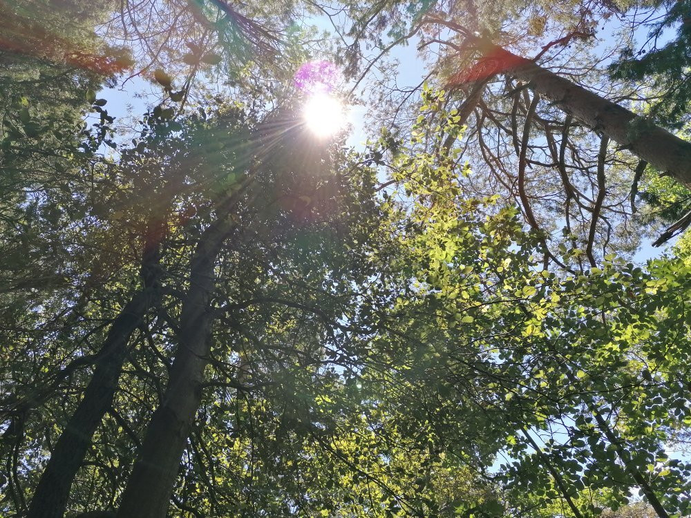 Parco Avventura Majella景点图片