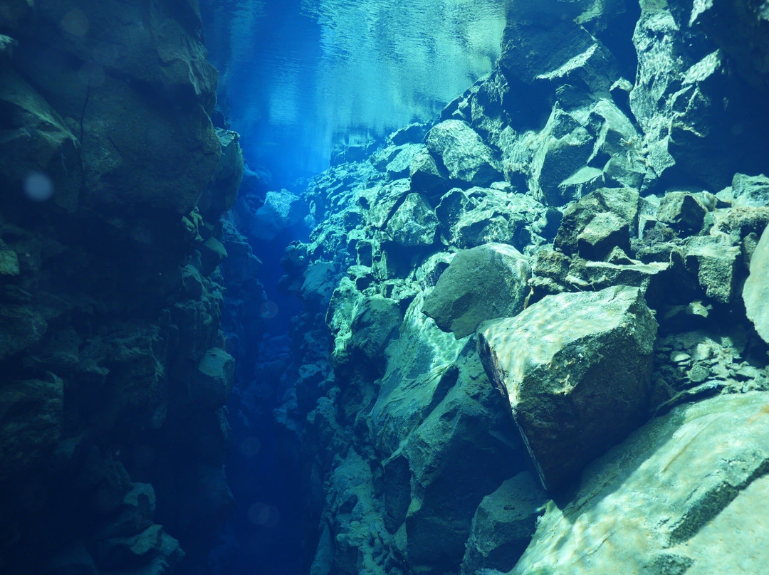 Dive Iceland - Diving and Snorkeling in Iceland - Day Tours景点图片
