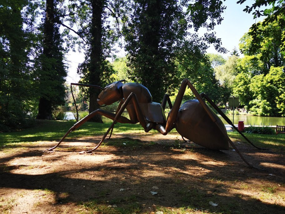 Parc Près la Rose景点图片