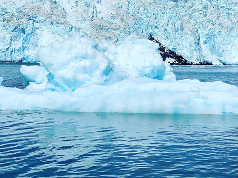 Seward Wildlife Tours-苏厄德必去景点