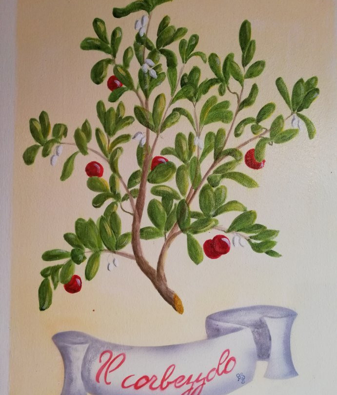 Valleprata Case Vacanza主图