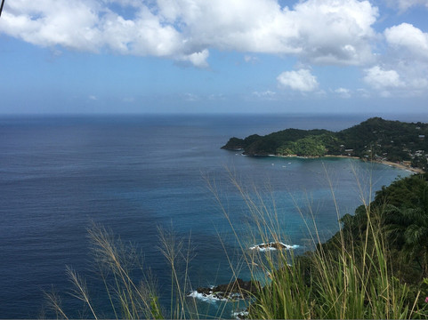 Tobago Adventure Tours-Castara必去景点