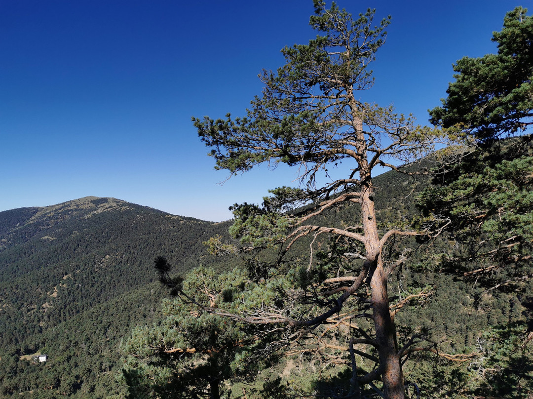 Mirador De La Reina.-Cercedilla必去景点