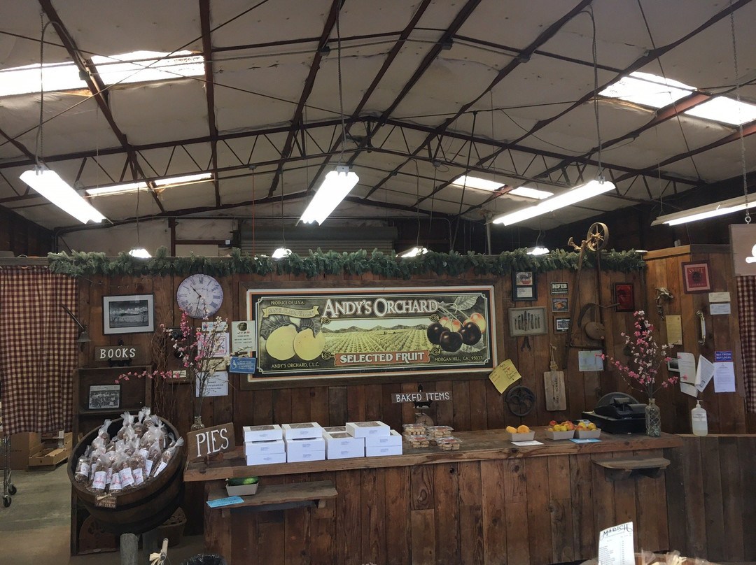 Andy's Orchard-摩根希尔必去景点