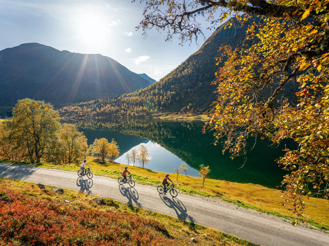 Lokel Bikes景点图片