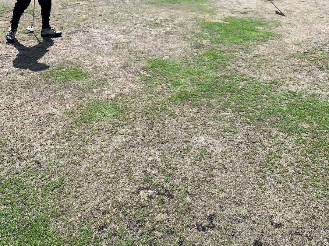 Ashton Court Golf Course-布里斯托尔必去景点