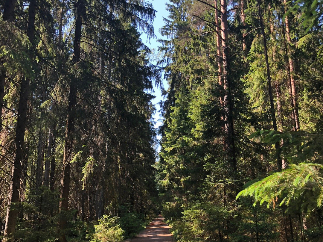 Natural Sanctuary Komarovskiy Bereg景点图片